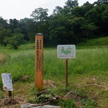 道路近くの城跡表示