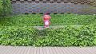 ポツンとエビシくん