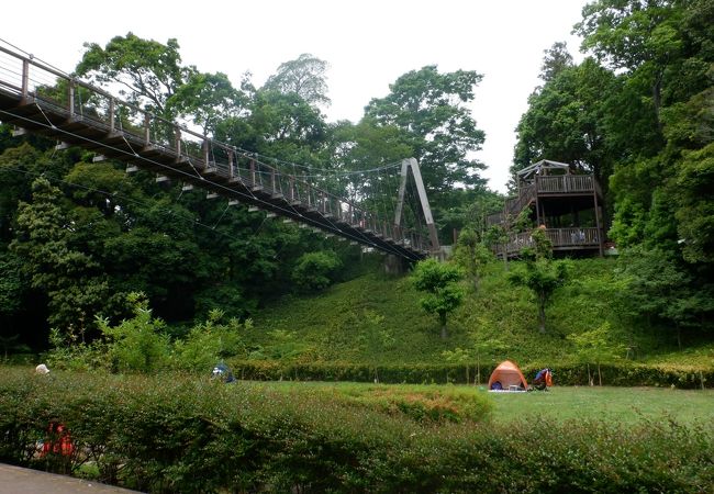 坂田ケ池総合公園キャンプ場