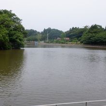坂田が池です。広々としてます。