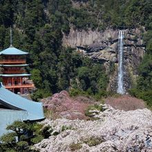 ひとこと、このアングルは絶景です