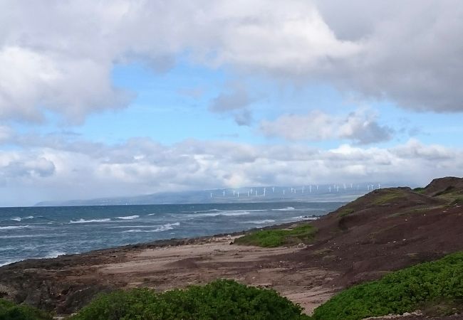 カエナ ポイント州立公園 クチコミ アクセス 営業時間 オアフ島 フォートラベル カエナ ポイント州立公園 クチコミ アクセス 営業時間 オアフ島 フォートラベル