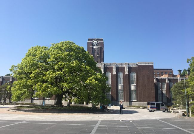 京都大学 百周年時計台記念館 クチコミ アクセス 営業時間 下鴨 宝ヶ池 平安神宮 フォートラベル