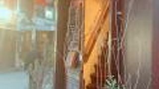 ハンモックのカフェ