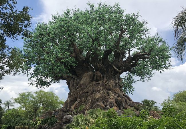 ディズニーズ アニマル キングダム テーマパーク クチコミ アクセス 営業時間 オーランド フォートラベル