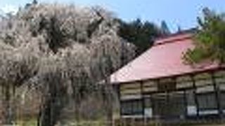 永泉寺