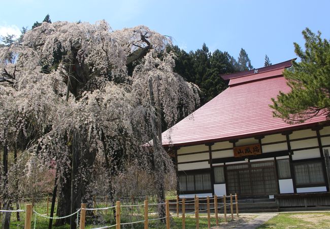 永泉寺