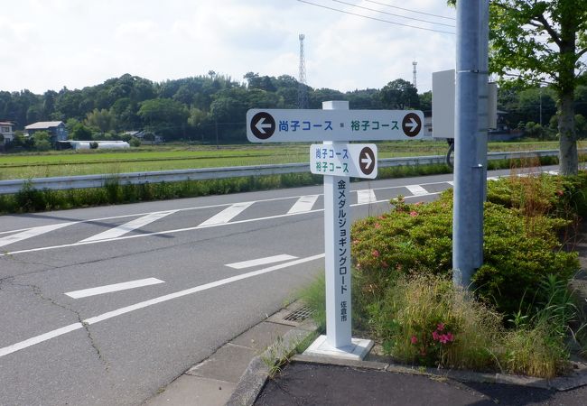 高橋尚子選手、有森裕子選手が練習した道路が水田の合間に広がります。