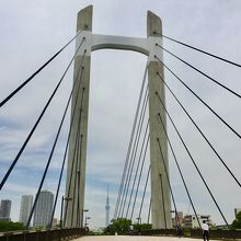 名前は木場公園大橋