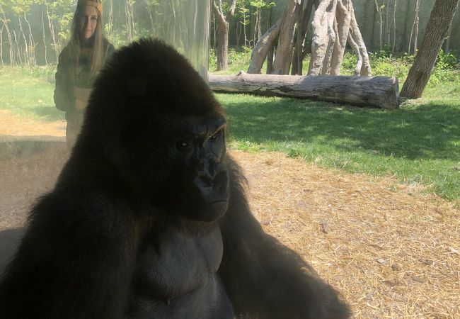 アメリカでも有名な動物園