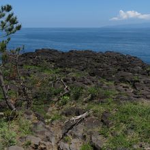 伊豆大島も見えました。