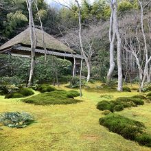 祇王寺