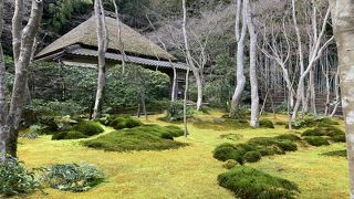 平家物語の美しさを具現化したかのような場所