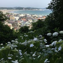 海とのコントラストが見事