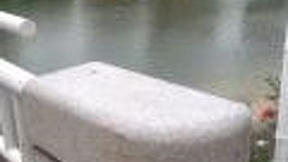 水は緑色ですが雄大さも感じます