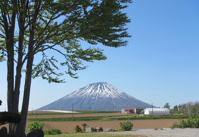 国道230号線沿いで羊蹄山の展望が素晴らしい場所