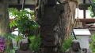 コンパクトな境内