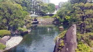 都心のオアシス