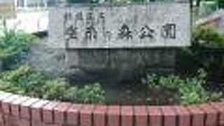 蚕糸の森公園♪