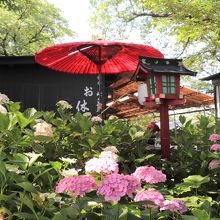 紫陽花の頃の峠の茶屋