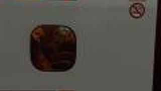 2020年６月17日の岡山18時53分発みずほ608号新大阪行きの様子について