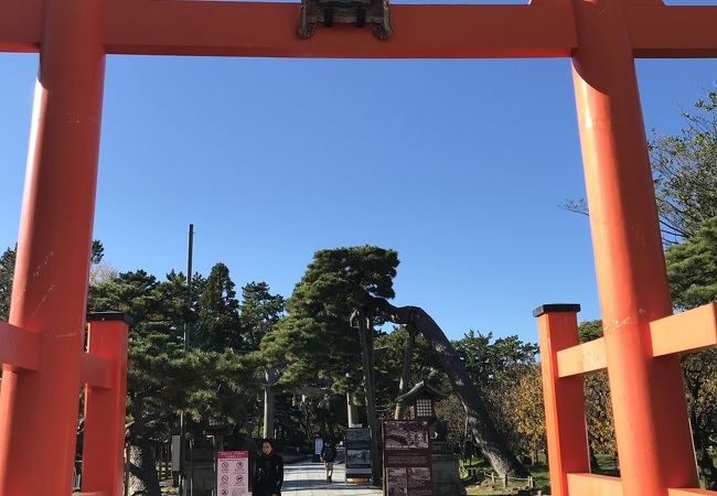 新潟総鎮守 白山神社 クチコミ アクセス 営業時間 新潟市 フォートラベル