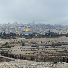 オリーブ山から見た神殿の丘