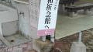 ぜひきてほしい