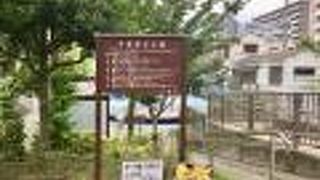 じゃぶじゃぶ池で賑わうそうです