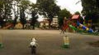 スポーツ施設が充実している公園