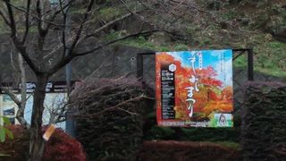 紅葉の時期もおすすめ♪