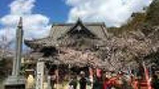 見晴らしの良い桜の名所。