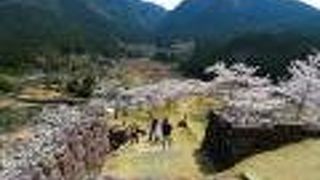 桜が咲き誇る名城。