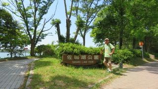 佐鳴湖を1周できる公園です！