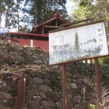 人はほとんどいないです