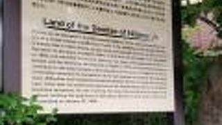 見過ごしてしまいそうです