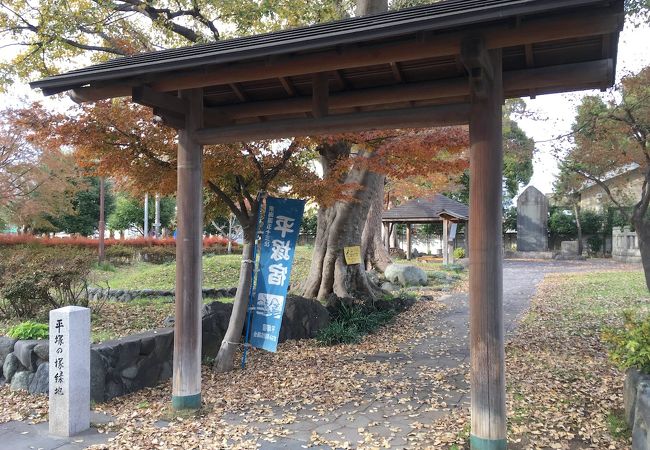 お寺に隣接する緑地