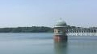 サイクリングができます