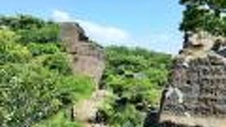 晴天だったけど 富士山も大島も見えなかった＊鷹取山展望台へ　