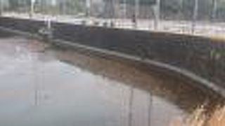 歴史を身近に感じられます