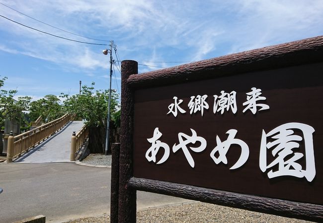 水郷潮来あやめ園 クチコミ アクセス 営業時間 潮来 フォートラベル 水郷潮来あやめ園 クチコミ アクセス 営業時間 潮来 フォートラベル