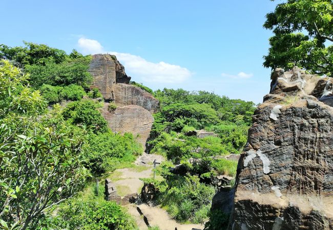 晴天だったけど 富士山も大島も見えなかった＊鷹取山展望台へ　