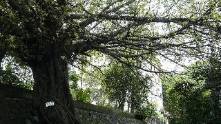 大噴火を物語る