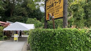 ボロニアハムが美味しい