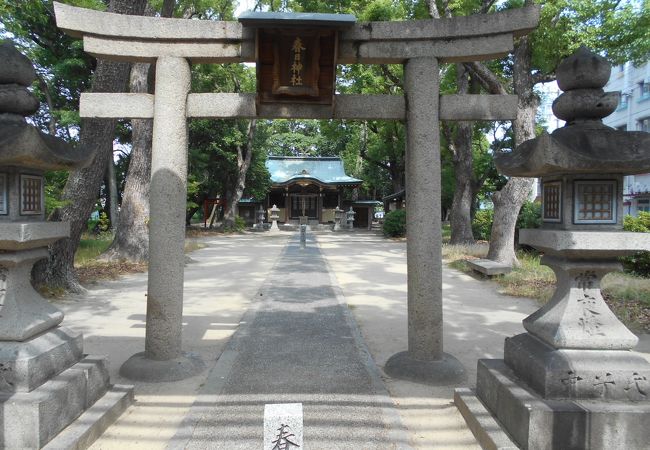 大木が繁る神社