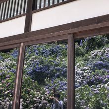 ガラスに映し出せる様になってます