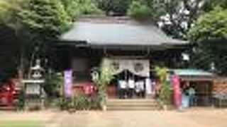 源氏ゆかりに神社