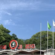 十数年振りの来園