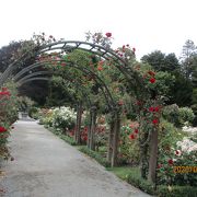 ハグレー公園内の植物園