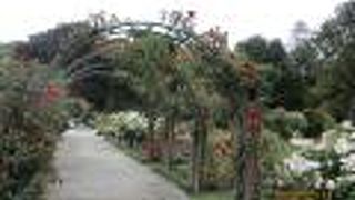 ハグレー公園内の植物園